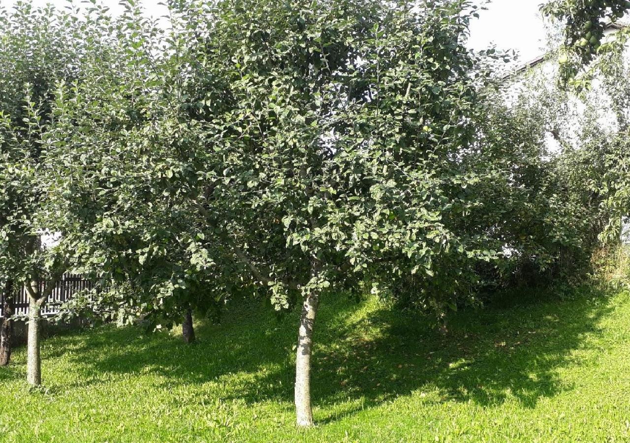 Apartamento Landhof Sedlmair Gilching Exterior foto